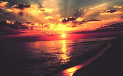 Prophetic Encouragement The Valley of Dry Bones, Things are Shaking…