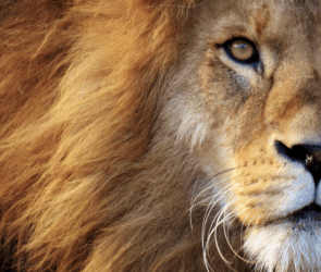 Prophetic Encounter: Entering a year like never before!  September 21, 2025